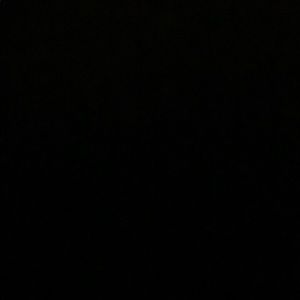 Meet your Posher, Cheyenne